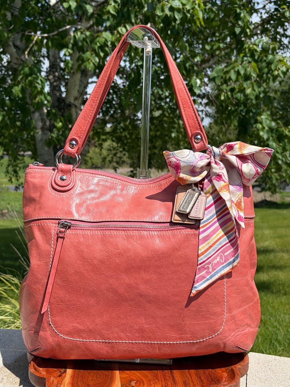 Coach Poppy Glam Tote Oink Glazed Leather 19002 EUC